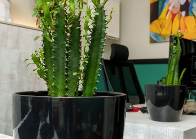 logistiko grafeio ioannina margiolos logistis365online 14